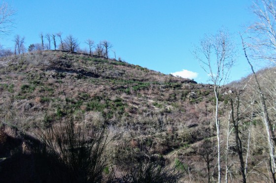 Paysage de Causse Albigeois