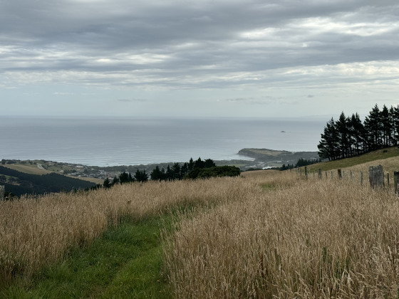 Piste du monument aux soldats, péninsule d\'Otago