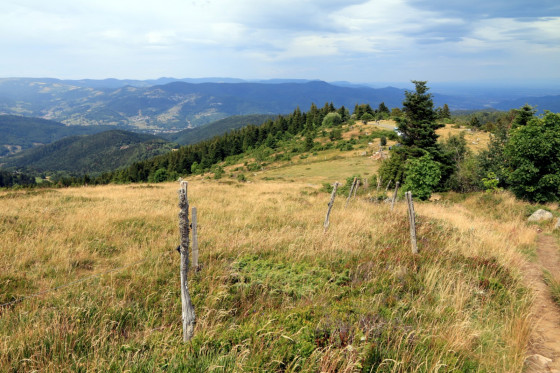 Paysage de la vall&eacute;e de Munster depuis le Steinberg