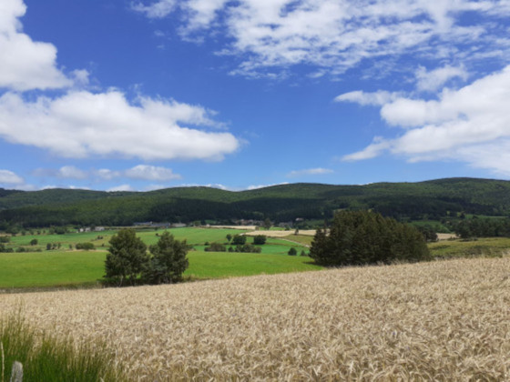 paysage de Margeride