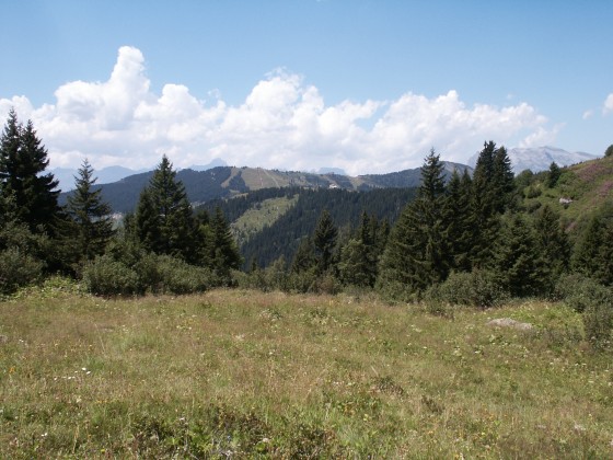 Paysage de montagne