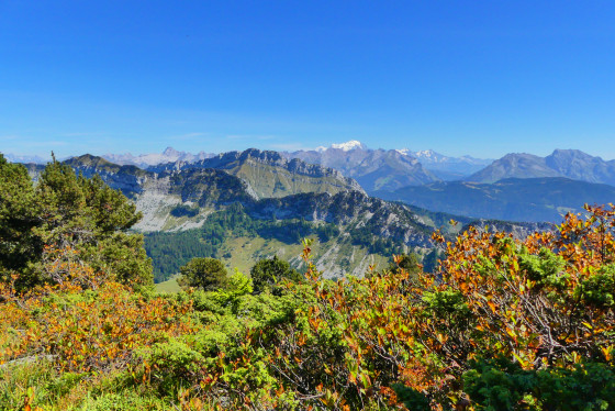 Paysage de pique-nique