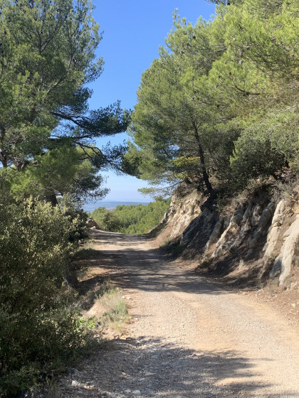 Paysage de Toscane