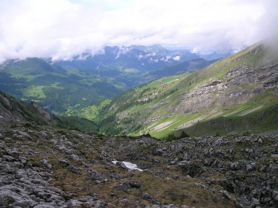 Paysage depuis la Blonnière