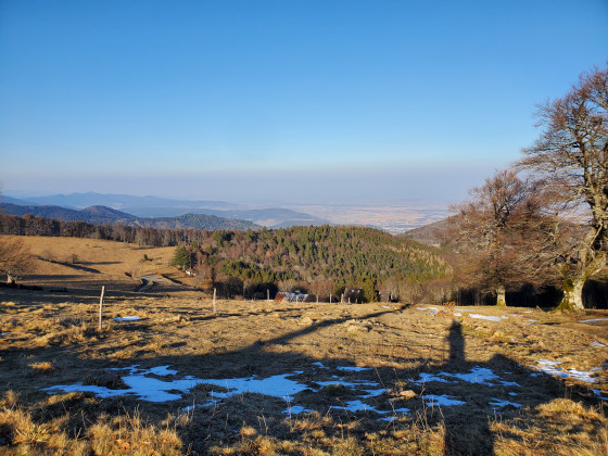 Paysage depuis le Molkenrain
