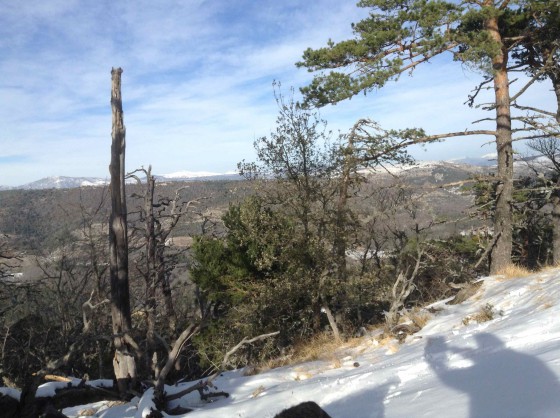 Paysage depuis le sentier de crête