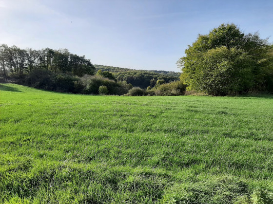 Paysage depuis Les Roches