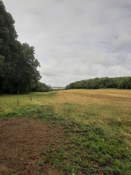 Paysage depuis une clairière