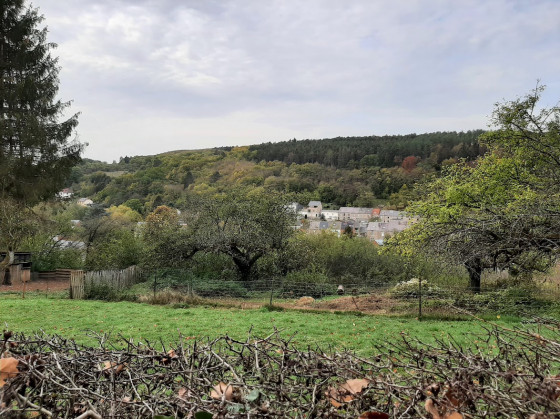 Paysage du Bois du Mousty, début de la randonnée