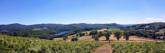 Paysage du lacaunais