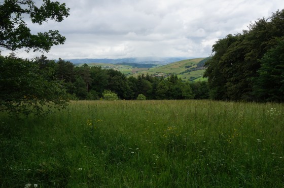 Paysage du Pilat
