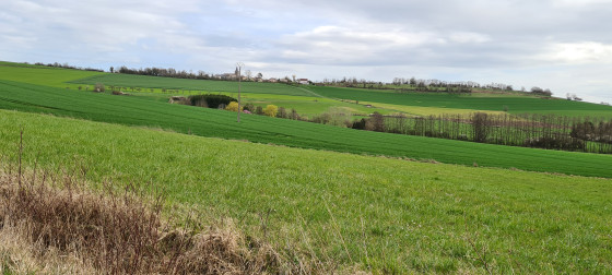 Paysage en cours  de parcours.