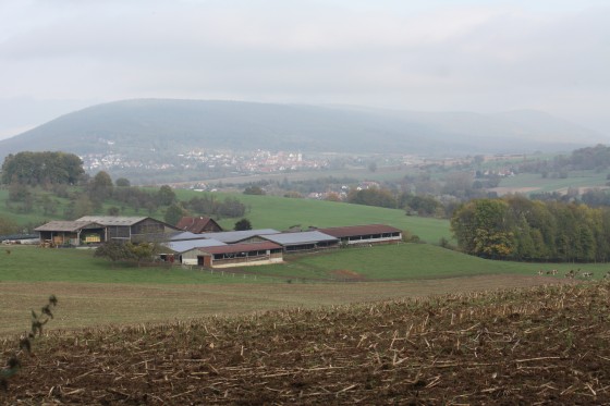 Panorama