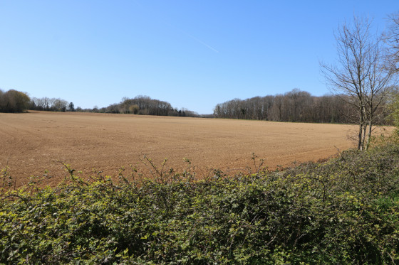 Paysage en direction du Bois de Pinier
