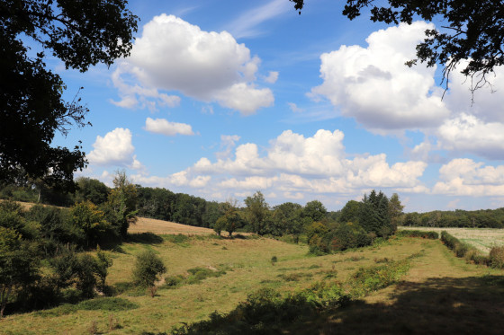 Paysage en vallée de la Couarde vers Poumoué
