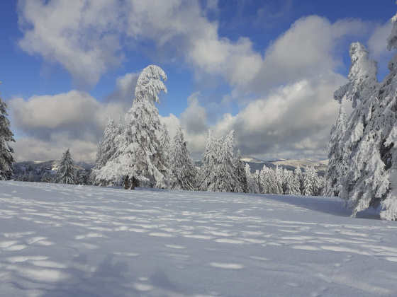 Paysage enneigé avec la chaine des Vosges