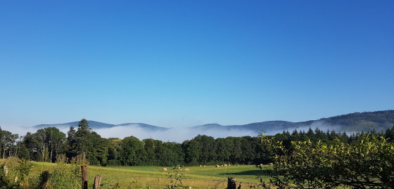 Paysage fraîcheur