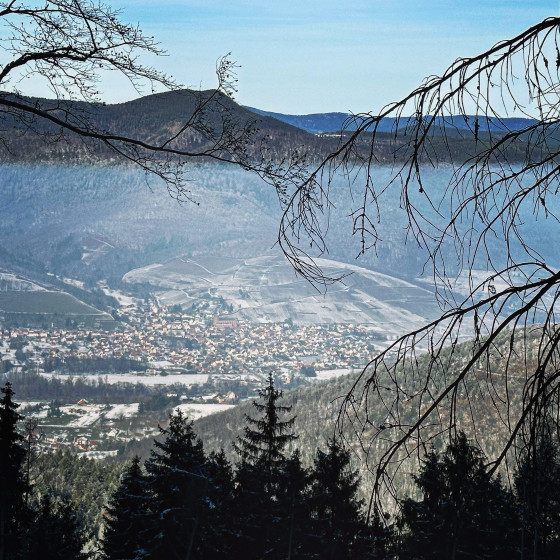 Paysage hivernal envo&ucirc;tant dans les environs de Gueberschwihr !