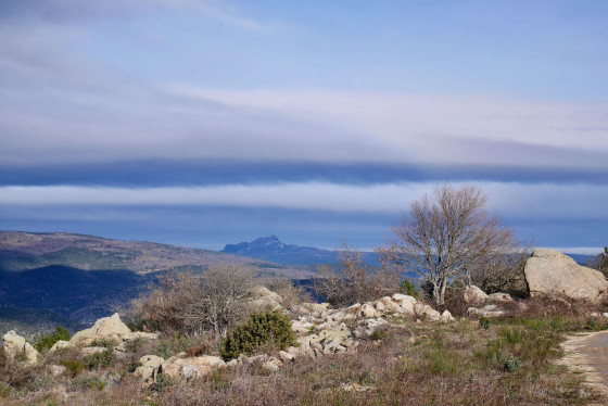 Paysage. Le Bugarach au fond