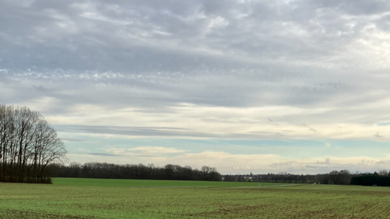 Paysage mixte de plaines et bois