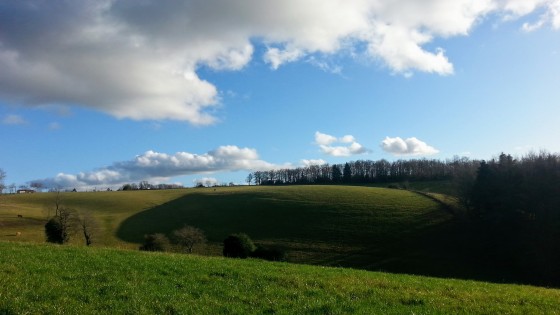 Paysage pastoral