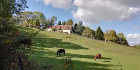 Paysage percheron