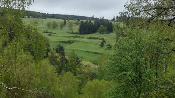 Paysage près de la source du Lot