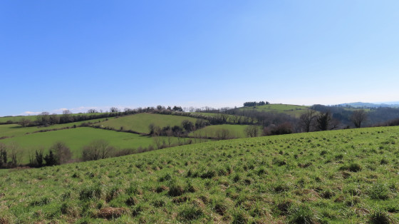 Paysage printanier