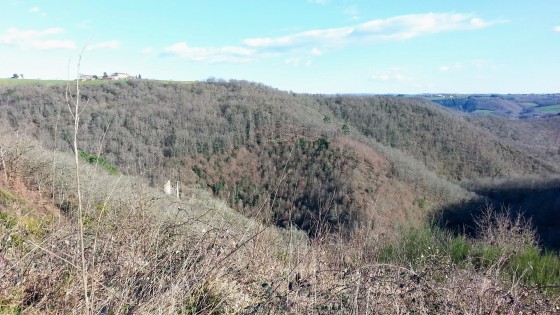 Paysage sauvage