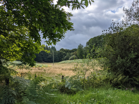 Paysage sous temps orageux