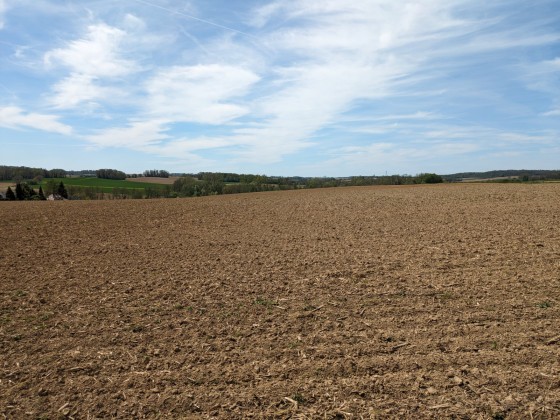 Paysage Sundgauvien