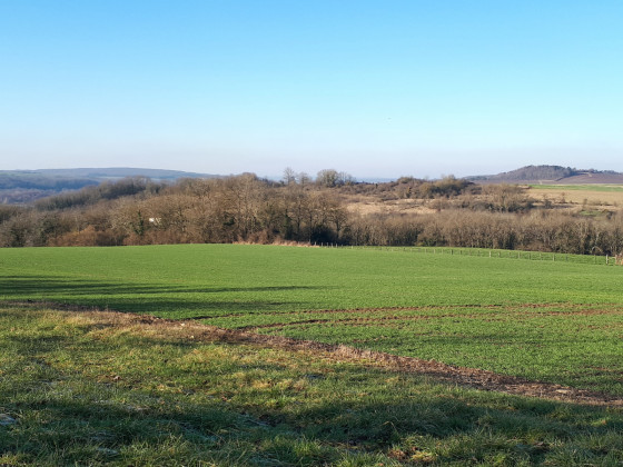 paysage sur le chemin