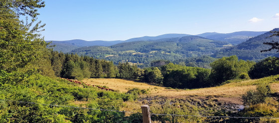 Paysage sur les Monts de Lacaune