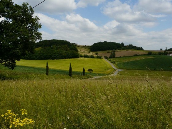 Paysage Toscan