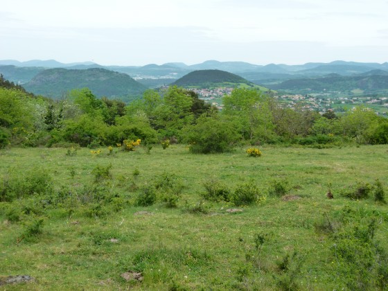 Paysage vallonné du Velay