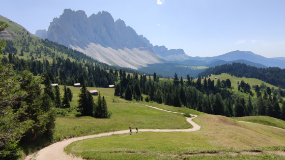 Paysage verdoyant