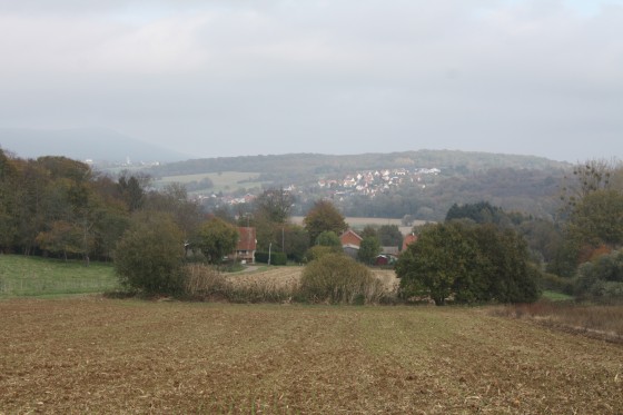 Panorama