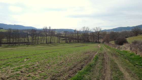 Paysage vers le passage à gué