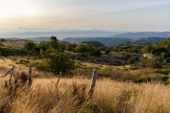 Paysage