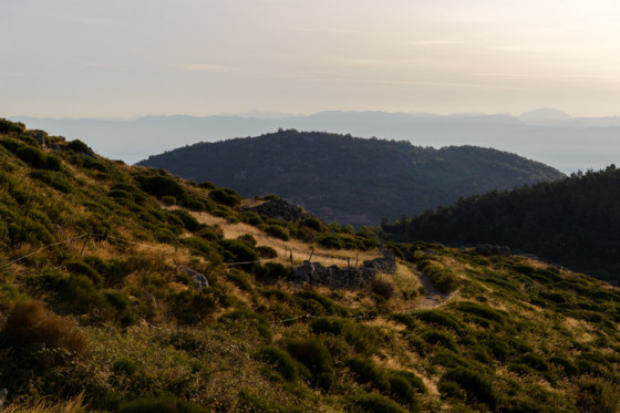 Paysage
