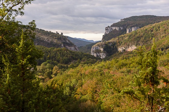 Paysage