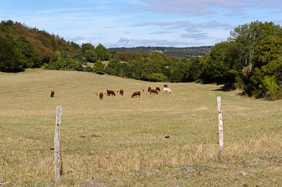 Paysage
