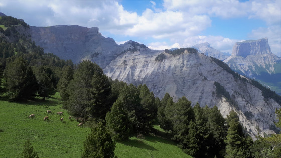 Paysage