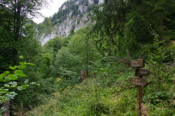Paysage