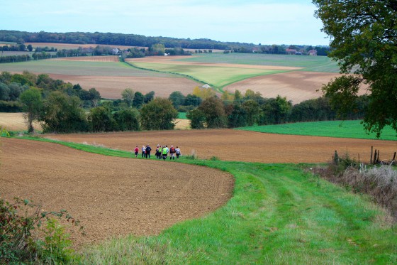 Paysage