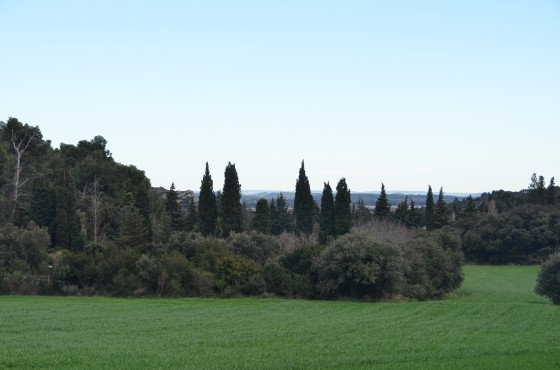 paysage