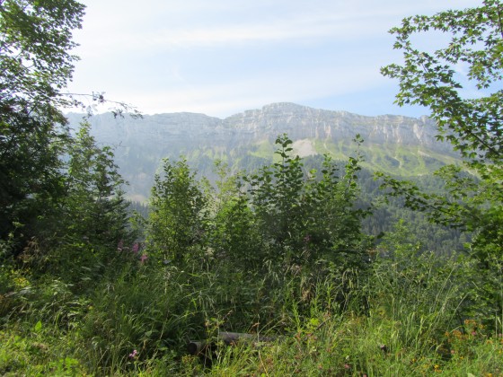 Paysage