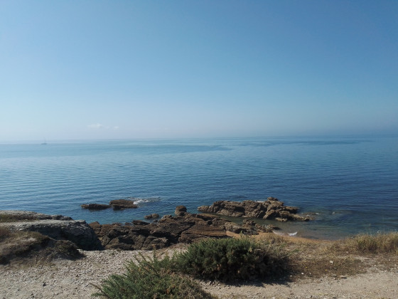 paysage