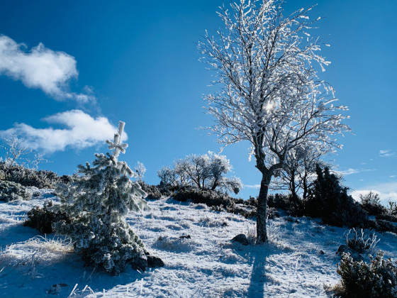 Paysage