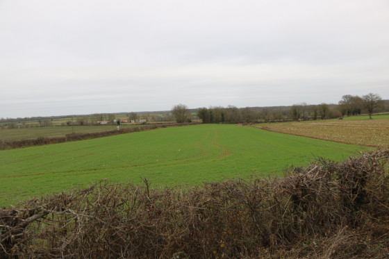 Paysage